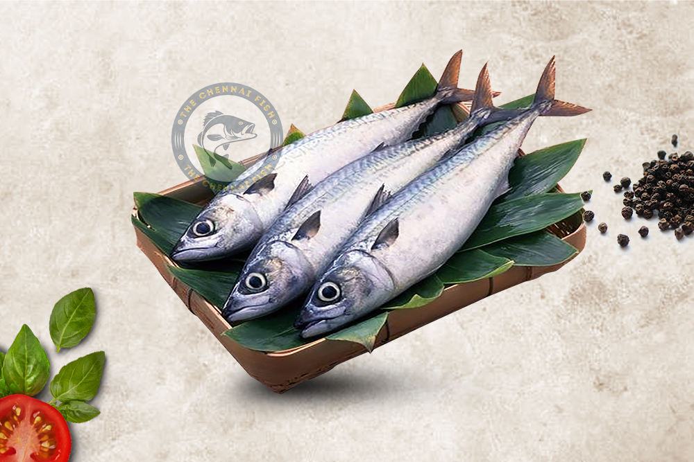 Vanjaram / வஞ்சிரம்  (Small) - (1kg)